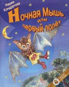 Читайте книги онлайн на Bookidrom.ru! Бесплатные книги в одном клике Мария Кондратова - Ночная Мышь, или Первый полет