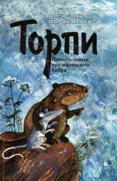 Читайте книги онлайн на Bookidrom.ru! Бесплатные книги в одном клике Александр Парфентьев - Торпи