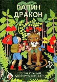 Читайте книги онлайн на Bookidrom.ru! Бесплатные книги в одном клике Рут Ганнетт - Папин дракон