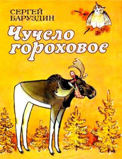 Читайте книги онлайн на Bookidrom.ru! Бесплатные книги в одном клике Сергей Баруздин - Чучело гороховое. Сказки