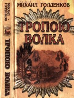 Читайте книги онлайн на Bookidrom.ru! Бесплатные книги в одном клике Михаил Голденков - Тропою волка