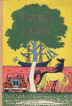 Читайте книги онлайн на Bookidrom.ru! Бесплатные книги в одном клике Вера Ферра-Микура - Валентин свистит в травинку