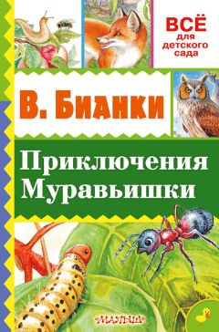 Читайте книги онлайн на Bookidrom.ru! Бесплатные книги в одном клике Виталий Бианки - Приключение Муравьишки (сборник)