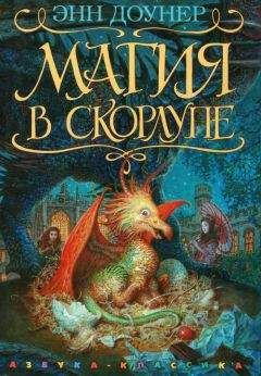 Читайте книги онлайн на Bookidrom.ru! Бесплатные книги в одном клике Энн Доунер - Магия в скорлупе