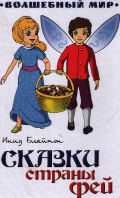 Читайте книги онлайн на Bookidrom.ru! Бесплатные книги в одном клике Инид Блайтон - Сказки страны Фей