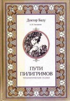Читайте книги онлайн на Bookidrom.ru! Бесплатные книги в одном клике Андрей Гнездилов - Пути пилигримов