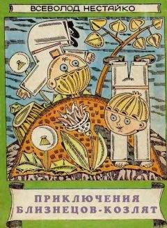 Читайте книги онлайн на Bookidrom.ru! Бесплатные книги в одном клике Всеволод Нестайко - Приключения близнецов-козлят
