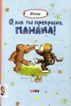 Читайте книги онлайн на Bookidrom.ru! Бесплатные книги в одном клике Янош - О, как ты прекрасна, Панама!