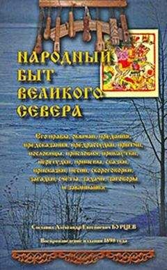 Читайте книги онлайн на Bookidrom.ru! Бесплатные книги в одном клике Александр Бурцев - Народный быт Великого Севера. Том II