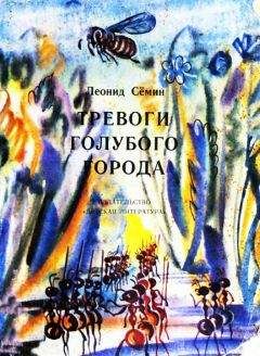 Читайте книги онлайн на Bookidrom.ru! Бесплатные книги в одном клике Леонид Сёмин - Тревоги Голубого города