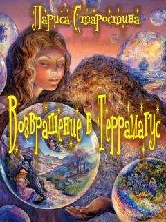 Читайте книги онлайн на Bookidrom.ru! Бесплатные книги в одном клике Лариса Старостина - Возвращение в Террамагус