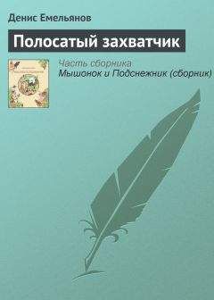 Читайте книги онлайн на Bookidrom.ru! Бесплатные книги в одном клике Денис Емельянов - Полосатый захватчик