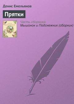 Читайте книги онлайн на Bookidrom.ru! Бесплатные книги в одном клике Денис Емельянов - Прятки