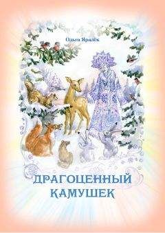 Читайте книги онлайн на Bookidrom.ru! Бесплатные книги в одном клике Ольга Яралек - Драгоценный камушек