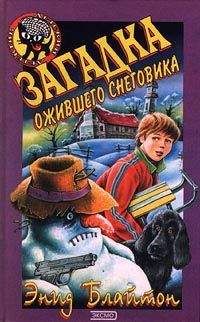 Читайте книги онлайн на Bookidrom.ru! Бесплатные книги в одном клике Энид Блайтон - Загадка ожившего снеговика