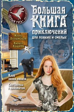 Читайте книги онлайн на Bookidrom.ru! Бесплатные книги в одном клике Кирилл Кащеев - Большая книга приключений для ловких и смелых (сборник)