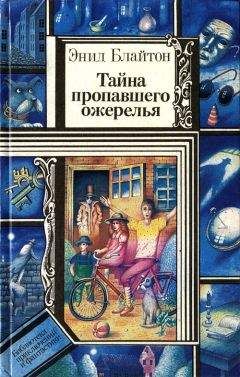 Читайте книги онлайн на Bookidrom.ru! Бесплатные книги в одном клике Энид Блайтон - Тайна пропавшего ожерелья (сборник)