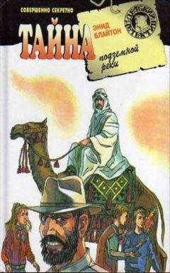 Читайте книги онлайн на Bookidrom.ru! Бесплатные книги в одном клике Энид Блайтон - Тайна подземной реки