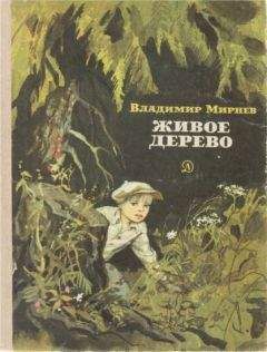 Читайте книги онлайн на Bookidrom.ru! Бесплатные книги в одном клике Владимир Мирнев - Живое дерево