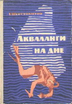 Читайте книги онлайн на Bookidrom.ru! Бесплатные книги в одном клике Евгений Шерстобитов - Акваланги на дне