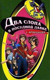 Читайте книги онлайн на Bookidrom.ru! Бесплатные книги в одном клике Елена Артамонова - Два слона в посудной лавке