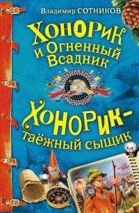 Владимир Сотников - Хонорик и Огненный Всадник