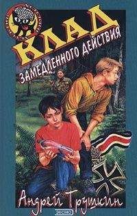 Читайте книги онлайн на Bookidrom.ru! Бесплатные книги в одном клике Андрей Трушкин - Клад замедленного действия