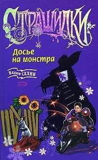 Читайте книги онлайн на Bookidrom.ru! Бесплатные книги в одном клике Вадим Селин - Досье на монстра