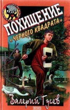 Читайте книги онлайн на Bookidrom.ru! Бесплатные книги в одном клике Валерий Гусев - Похищение Черного Квадрата