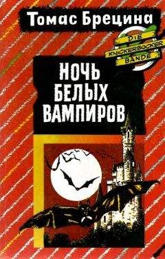 Читайте книги онлайн на Bookidrom.ru! Бесплатные книги в одном клике Томас Брецина - Ночь белых вампиров