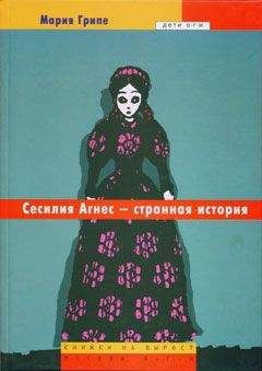 Читайте книги онлайн на Bookidrom.ru! Бесплатные книги в одном клике Мария Грипе - Сесилия Агнес – странная история