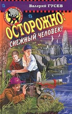 Читайте книги онлайн на Bookidrom.ru! Бесплатные книги в одном клике Валерий Гусев - Каникулы в бухте пиратов