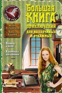 Читайте книги онлайн на Bookidrom.ru! Бесплатные книги в одном клике Илона Волынская - Большая книга приключений для находчивых и отважных (сборник)