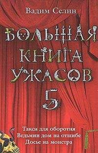 Вадим Селин - Ведьмин дом на отшибе