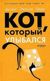 Читайте книги онлайн на Bookidrom.ru! Бесплатные книги в одном клике Лилиан Браун - Кот, который выследил вора