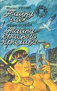 Читайте книги онлайн на Bookidrom.ru! Бесплатные книги в одном клике Фрэнк Бонам - Тайна красного прилива