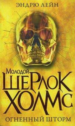 Читайте книги онлайн на Bookidrom.ru! Бесплатные книги в одном клике Эндрю Лейн - Огненный шторм
