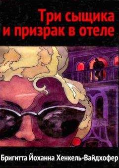 Читайте книги онлайн на Bookidrom.ru! Бесплатные книги в одном клике Бригитта Хенкель-Вайдхофер - Три сыщика и призрак в отеле
