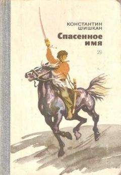 Читайте книги онлайн на Bookidrom.ru! Бесплатные книги в одном клике Константин Шишкан - Спасенное имя