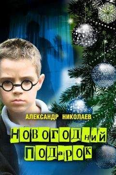 Читайте книги онлайн на Bookidrom.ru! Бесплатные книги в одном клике Александр Николаев - Новогодний подарок