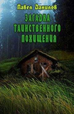 Читайте книги онлайн на Bookidrom.ru! Бесплатные книги в одном клике Павел Данилов - Загадка таинственного похищения