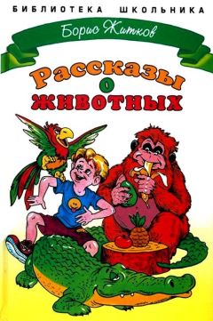 Читайте книги онлайн на Bookidrom.ru! Бесплатные книги в одном клике Борис Житков - Рассказы о животных