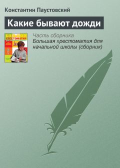 Читайте книги онлайн на Bookidrom.ru! Бесплатные книги в одном клике Константин Паустовский - Какие бывают дожди