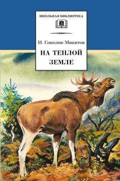 Читайте книги онлайн на Bookidrom.ru! Бесплатные книги в одном клике Иван Соколов-Микитов - На теплой земле (сборник)
