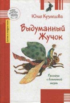 Читайте книги онлайн на Bookidrom.ru! Бесплатные книги в одном клике Юлия Кузнецова - Выдуманный Жучок