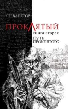 Читайте книги онлайн на Bookidrom.ru! Бесплатные книги в одном клике Ян Валетов - Путь Проклятого