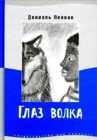 Читайте книги онлайн на Bookidrom.ru! Бесплатные книги в одном клике Даниэль Пеннак - Глаз волка