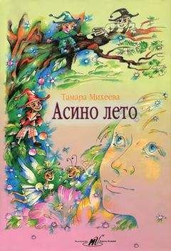 Читайте книги онлайн на Bookidrom.ru! Бесплатные книги в одном клике Тамара Михеева - Асино лето