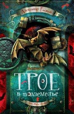 Читайте книги онлайн на Bookidrom.ru! Бесплатные книги в одном клике Александр Рыжов - Трое в подземелье