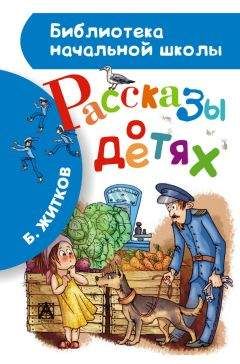 Читайте книги онлайн на Bookidrom.ru! Бесплатные книги в одном клике Борис Житков - Рассказы о детях